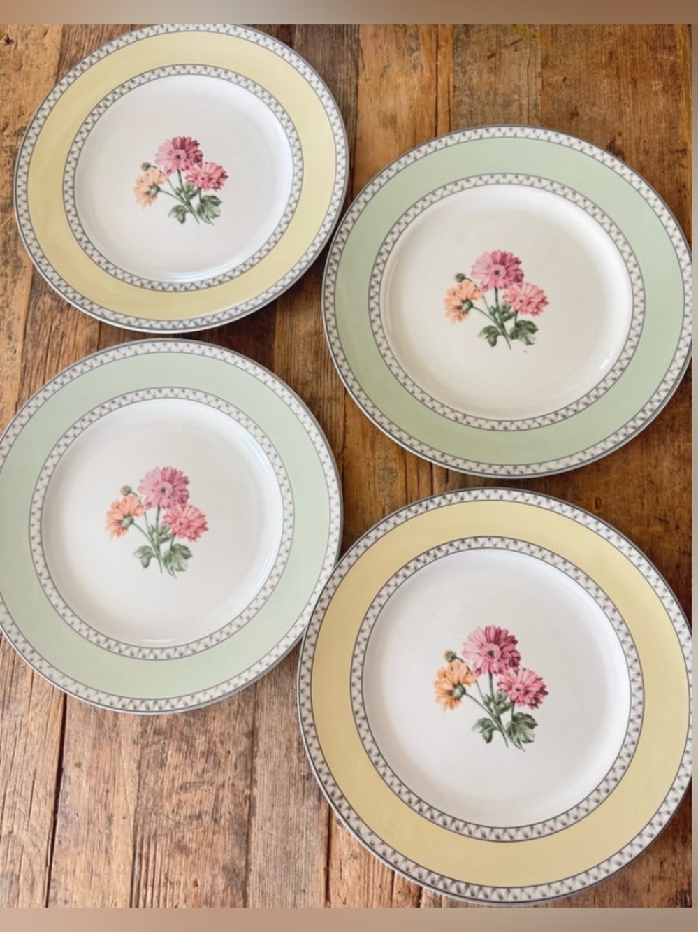 Set of 4 PTS International 222 Fifth Somerville Stoneware Dinner Plates